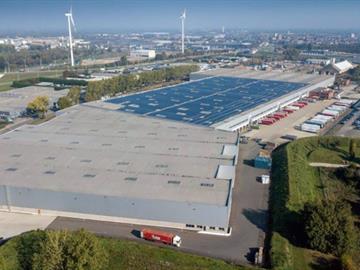 Industrieel gebouw Te huur Willebroek