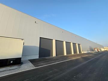 Industrieel gebouw Te huur Rijkevorsel